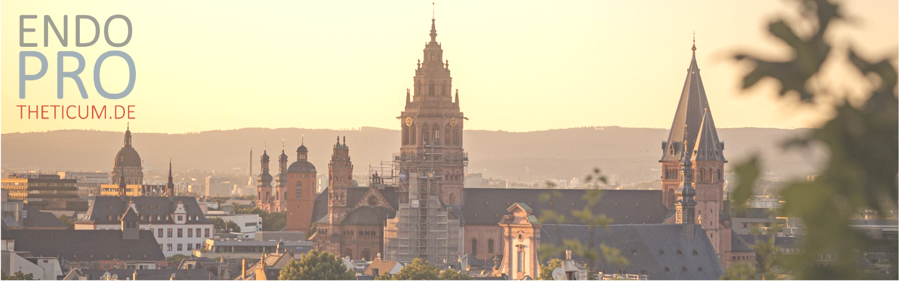 Slider image (4) ENDOPROTHETICUM Rhein-Main - Expert Hip & Knee Arthroplasty in Germany